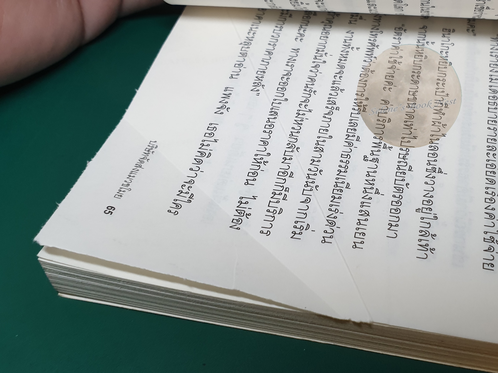 บริษัทจัดส่งแมวขโมย (Anata No Koibito, Godatsu Shimasu) / Nagashima Emi (นางาชิมะ เอมิ)