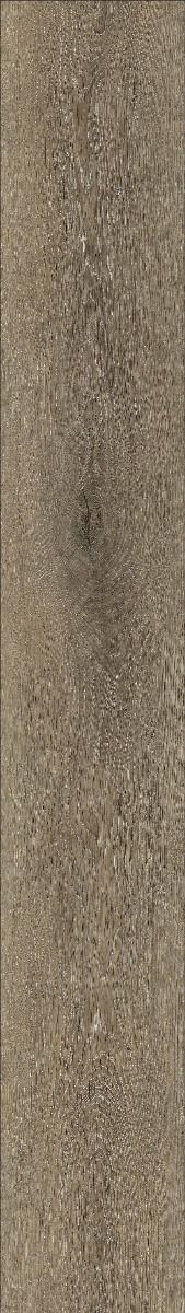LT 22.6x152 เลซอร์ โอ๊ค CK05(4/0.3 mm)