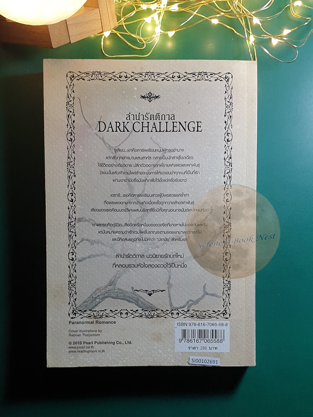 Dark #5 ตอน ลำนำรัตติกาล (Dark Challenge) / Christine Feehan (คริสติน ฟีแฮน)