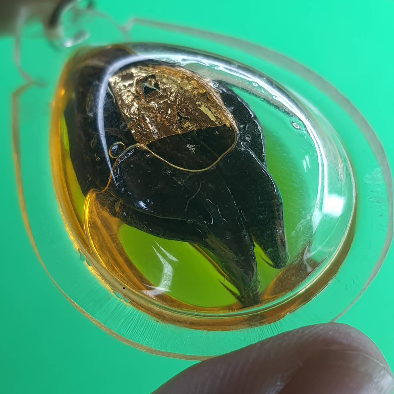 ของป้องกัน เล็บครุฑ สีดำ แบบอัดกรอบ ใส่น้ำมันมัน เล็บครุฑ พญาเล็บครุฑ์ ของแท้ พญาเล็บครุฑ