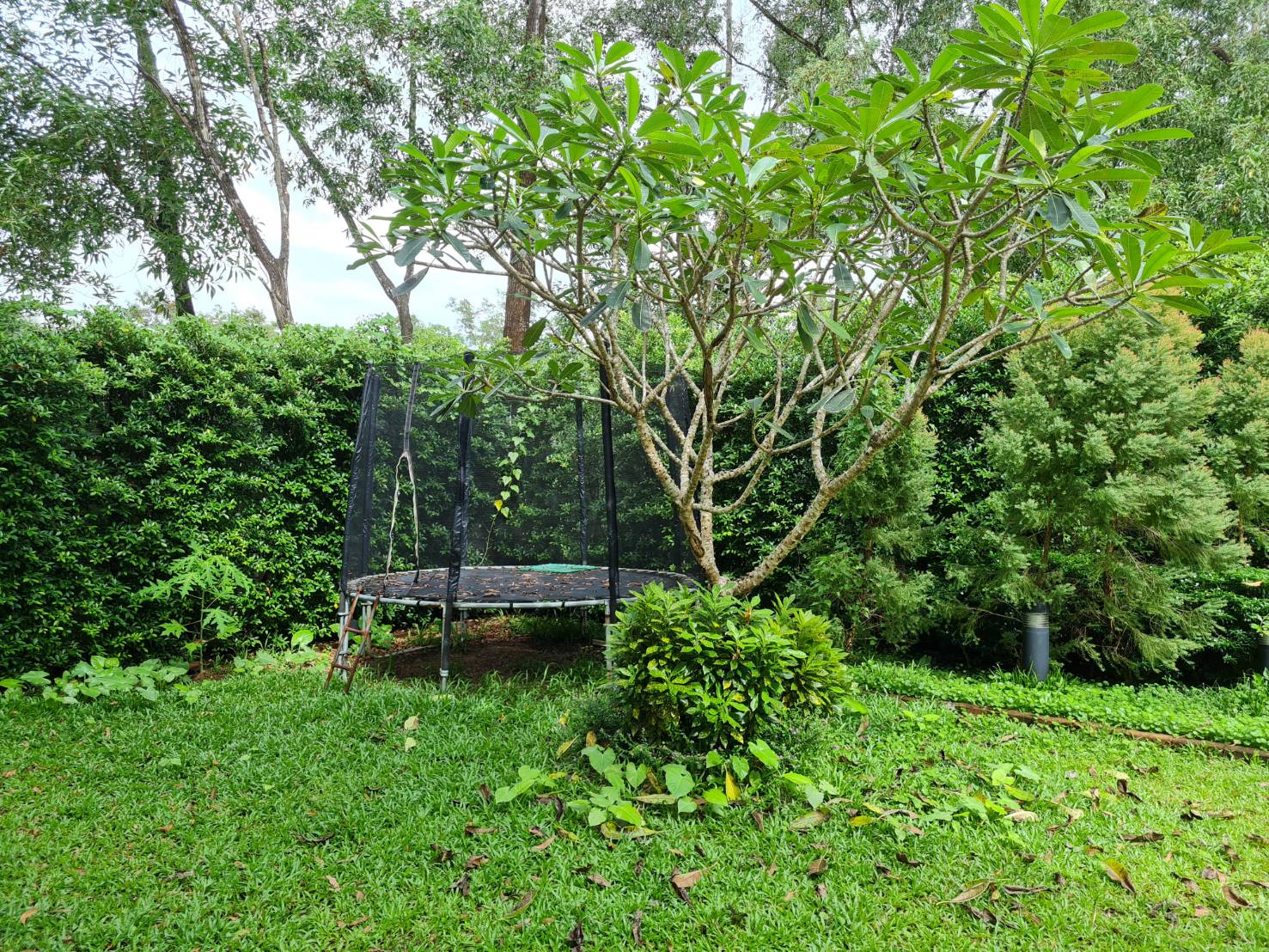 For Rent : 2Story beautiful house with big yard 3 bedroom