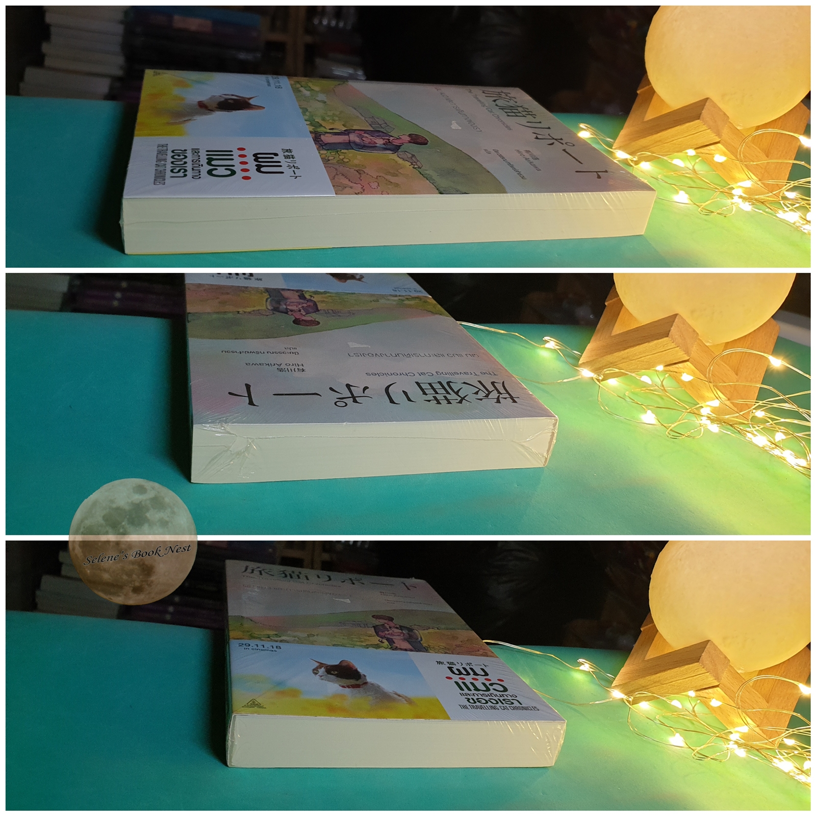 ผม แมวและการเดินทางของเรา (The Travelling Cat Chronicles) / Hiro Arikawa