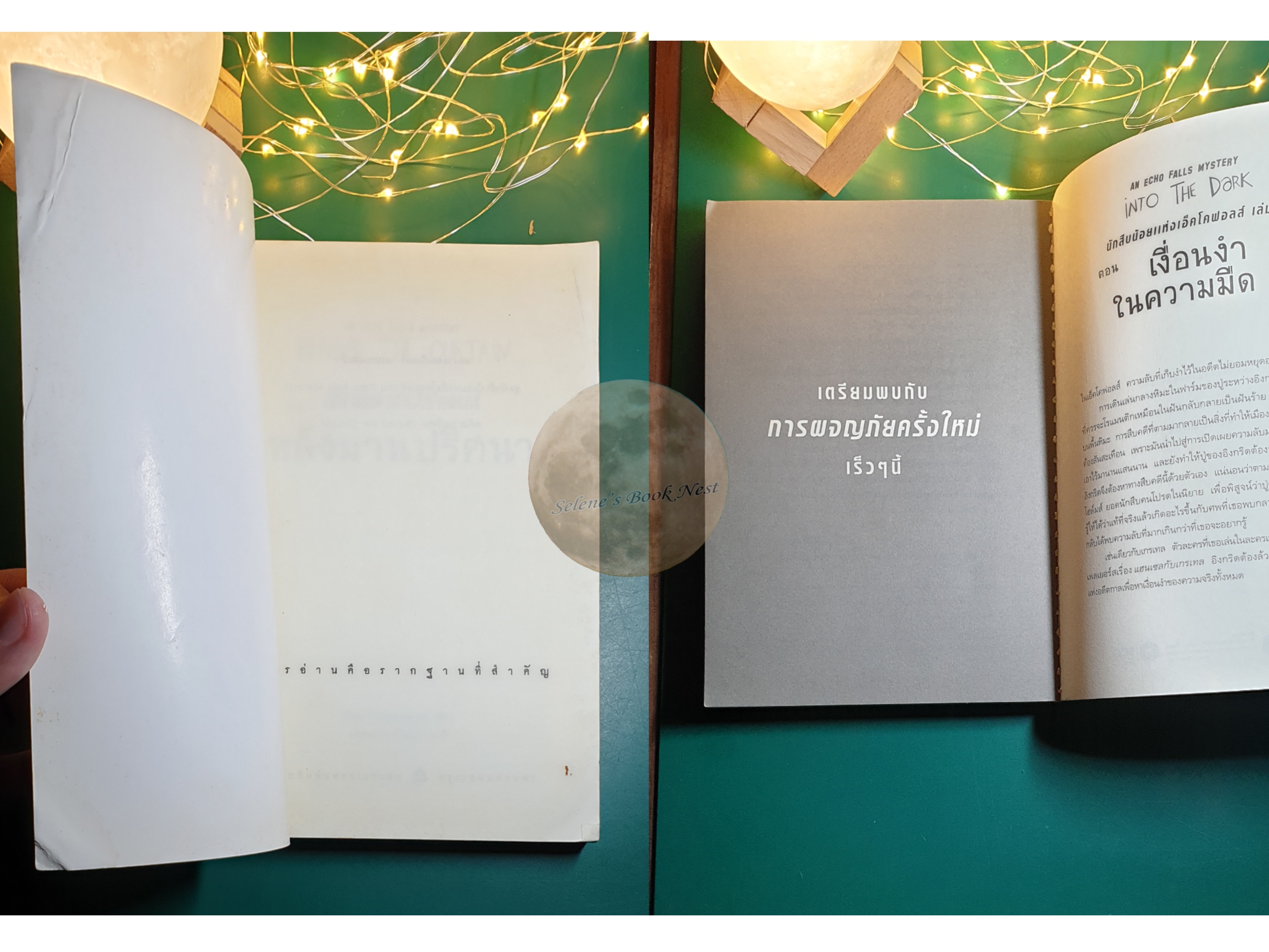 นักสืบน้อยแห่งเอ็คโคฟอลส์ (An Echo Falls Mystery) #2 ตอน หลังม่านปริศนา (Behind The Curtain) / Peter Abrahams (ปีเตอร์ เอเบรอแฮมส์)