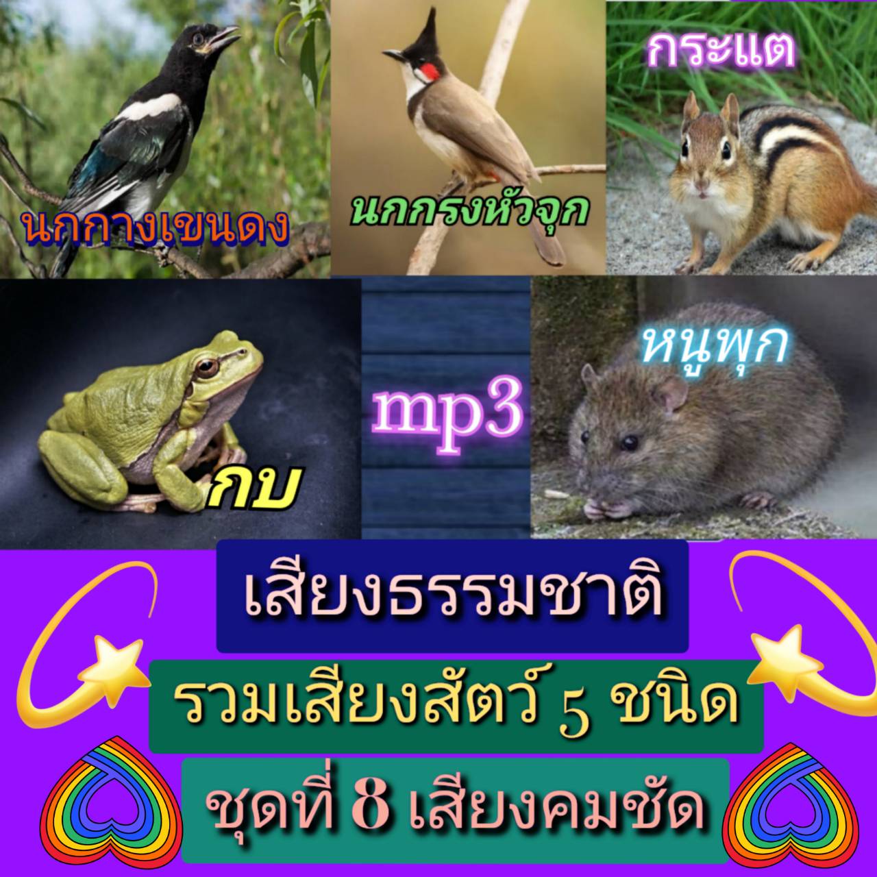 [พรเทวะ] แฟลชไดร์ฟ Mp3 เสียงธรรมชาติ รวมเสียงสัตว์ 5 ชนิด ชุดที่ 8 เสียงคมชัด ความยาวเสียงละ 1-2 ชั่วโมง 1.เสียงนกกรงหัวจุก 2. เสียงนกกางเขนดง 3. เสียงกระแต 4. เสียงกบ 5 เสียงหนูพุก ใช้กับเครื่องเล่น USB/mp3 ทุกชนิดหรือเปิดฟังในรถยนต์เปิดในคอมพิวเตอร์ได้ 