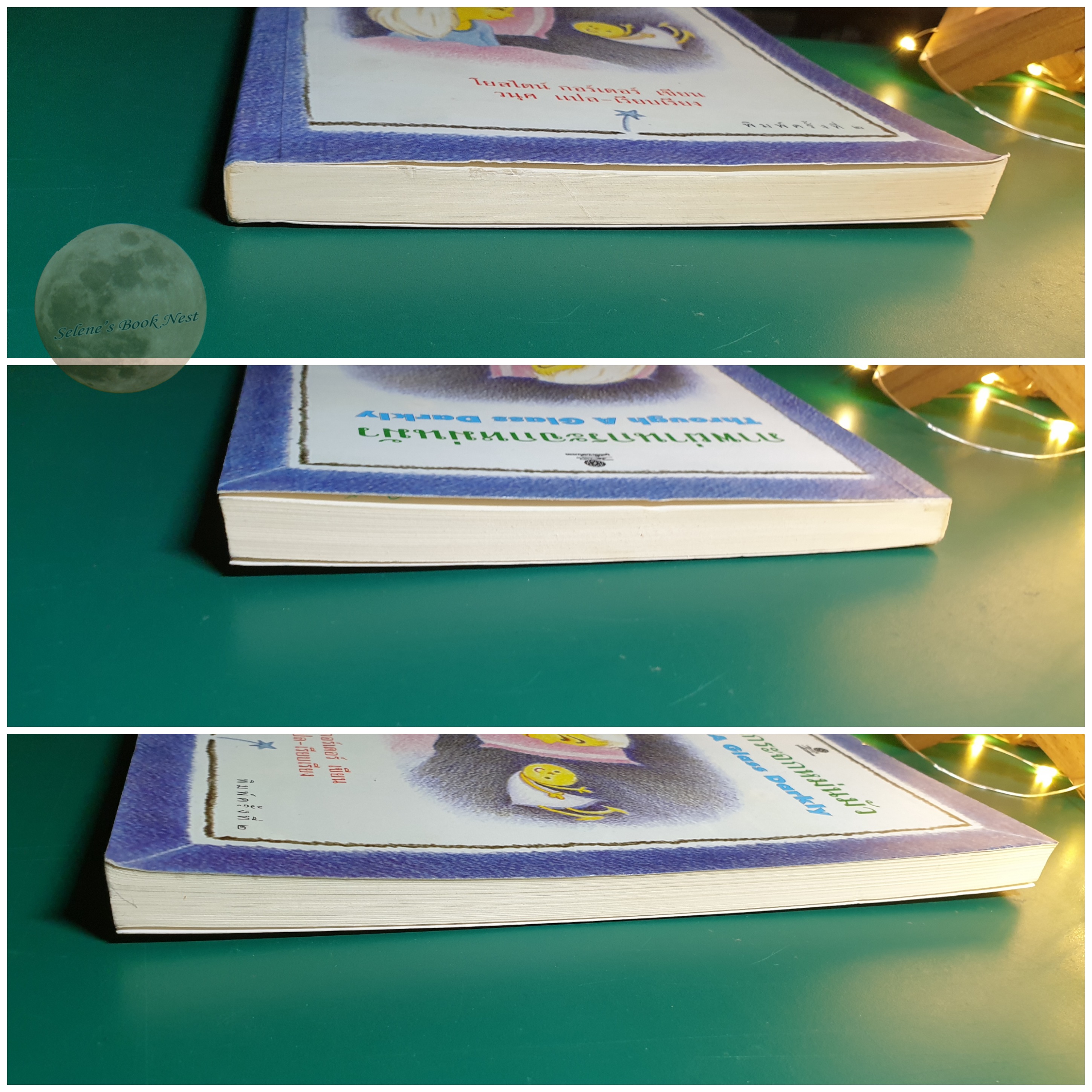 ภาพผ่านกระจกหม่นมัว (Through a Glass Darkly) / Jostein Gaarder (โยสไตน์ กอร์เดอร์)