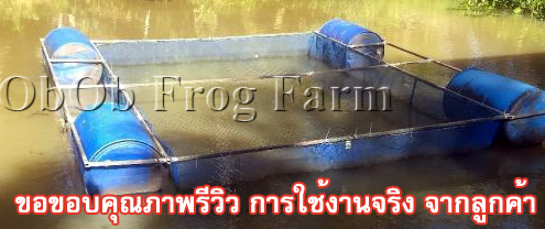 กระชังมุ้งไนล่อน 16ตา/นิ้ว รุ่นลึก 1.2 ม. ( กระชังในน้ำ ไม่มีฝา ) ใช้เป็น กระชังเลี้ยงปลา กระชังใส่ปลา กระชังเลี้ยงกบ