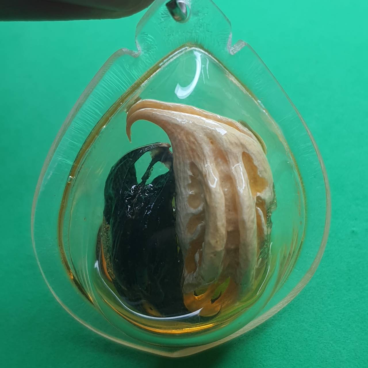 ของป้องกัน เล็บครุฑแบบกรอบคู่ใส่น้ำมัน เล็บครุฑ พญาเล็บครุฑ ของแท้ จี้พญาเล็บครุฑ