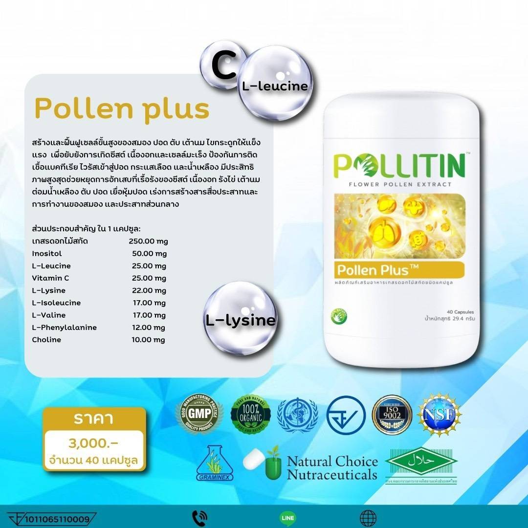 พอลลิติน พอลลิตัน Pollitin Pollenpus พอลเลนพลัส ปอดอักเสบ เนื้องอก