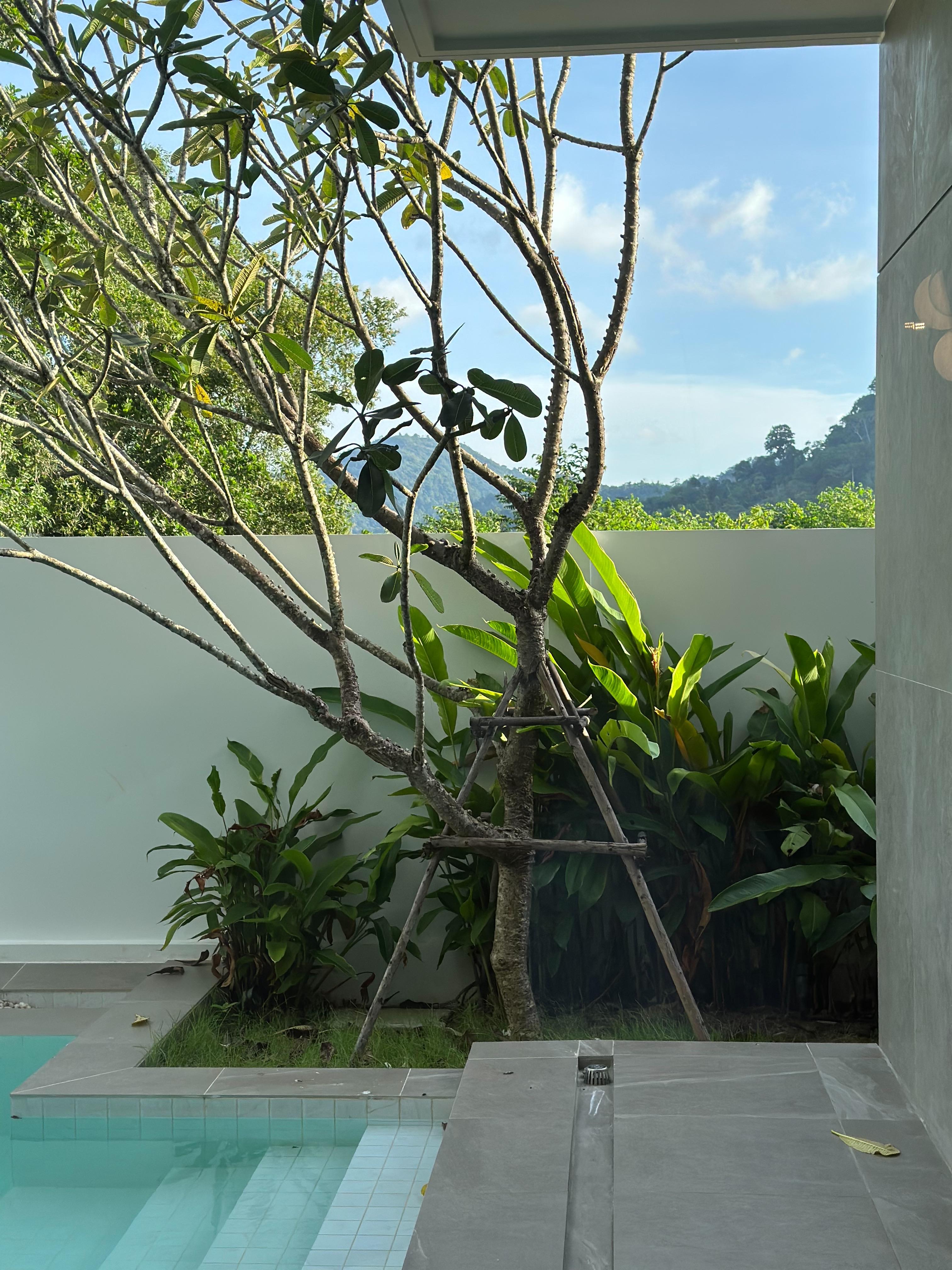 For Sales : Kathu-Patong, Luxury Pool Villa, 4 Bedrooms 4 Bathrooms