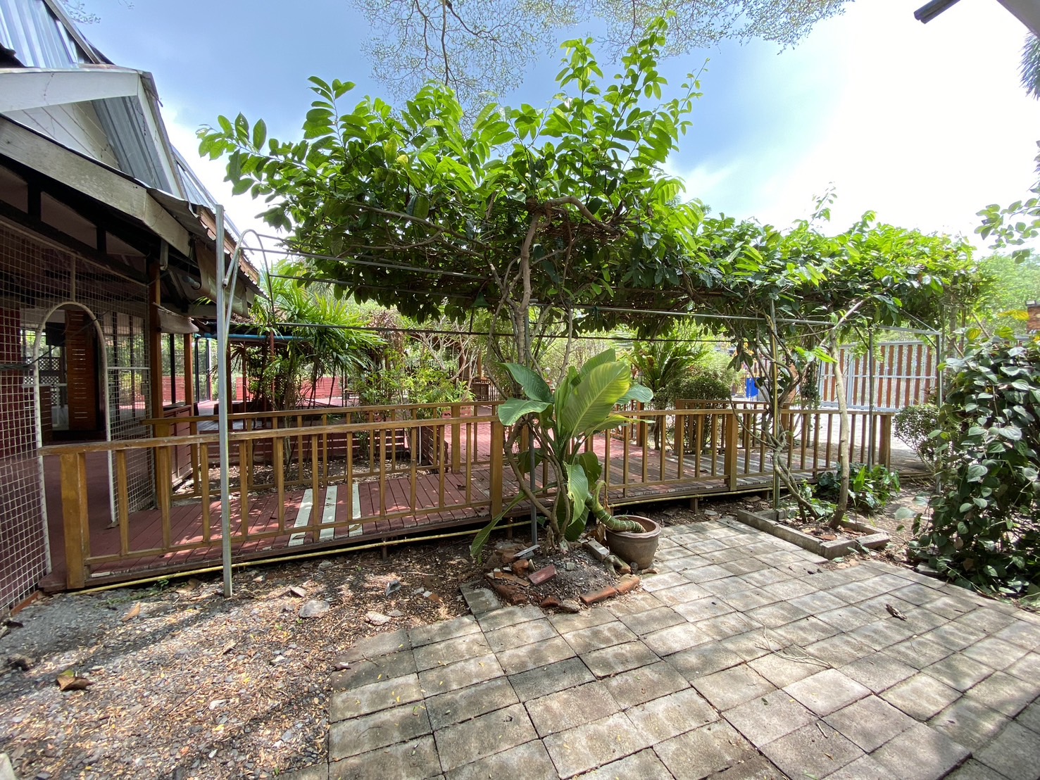 For Rent : Thalang, One-Story Detached House @Manik, 2 Bedrooms 2 Bathrooms