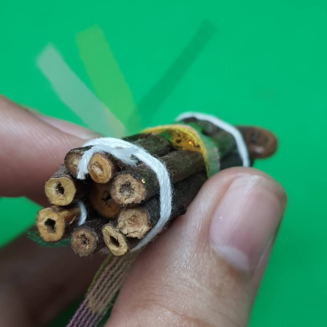 ของนำโชค ไม้มงคล 9 อย่าง ไม้มงคล ไม้มงคล 9 ไม้มงคลสำหรับร้านค้า ของแท้