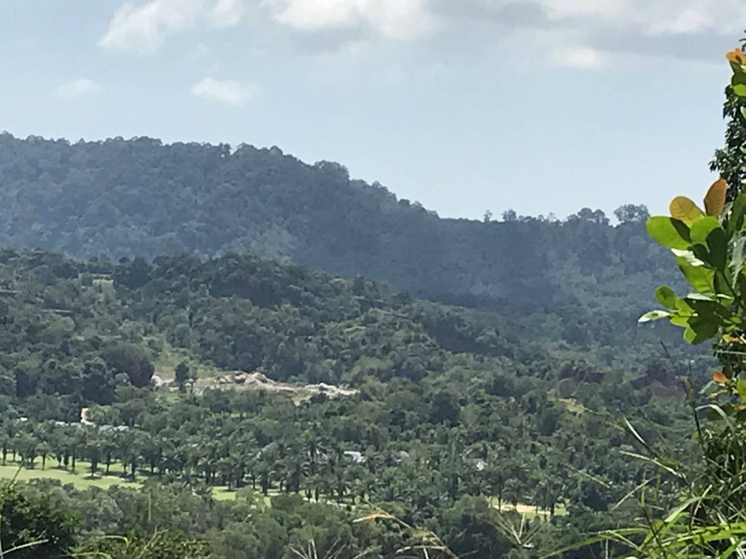 For Sales : Land at Kathu, Near golf course, 184 sqw.