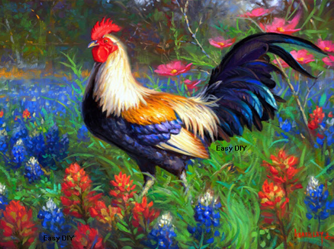 ไก่แจ้