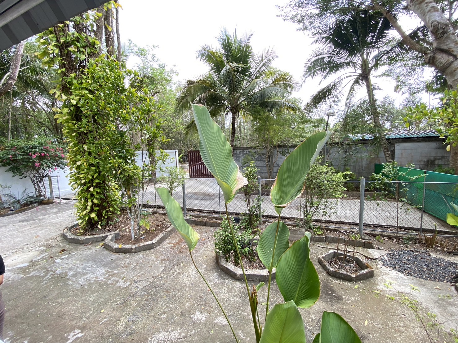 For Rent : Thalang, One-Story Detached House @Manik, 2 Bedrooms 2 Bathrooms
