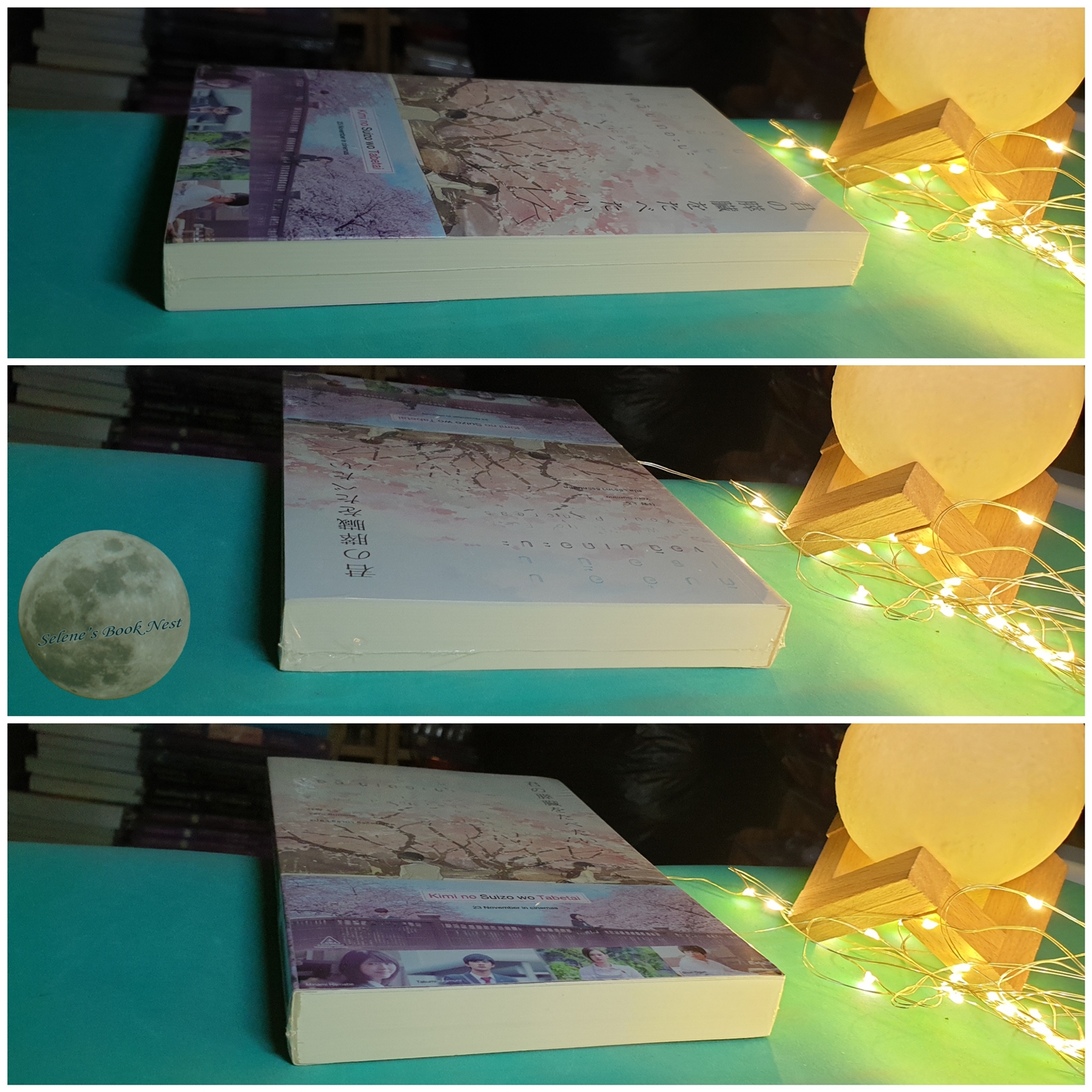 ตับอ่อนเธอนั้นขอฉันเถอะนะ (I Want to Eat Your Pancreas) / Yoru Sumino