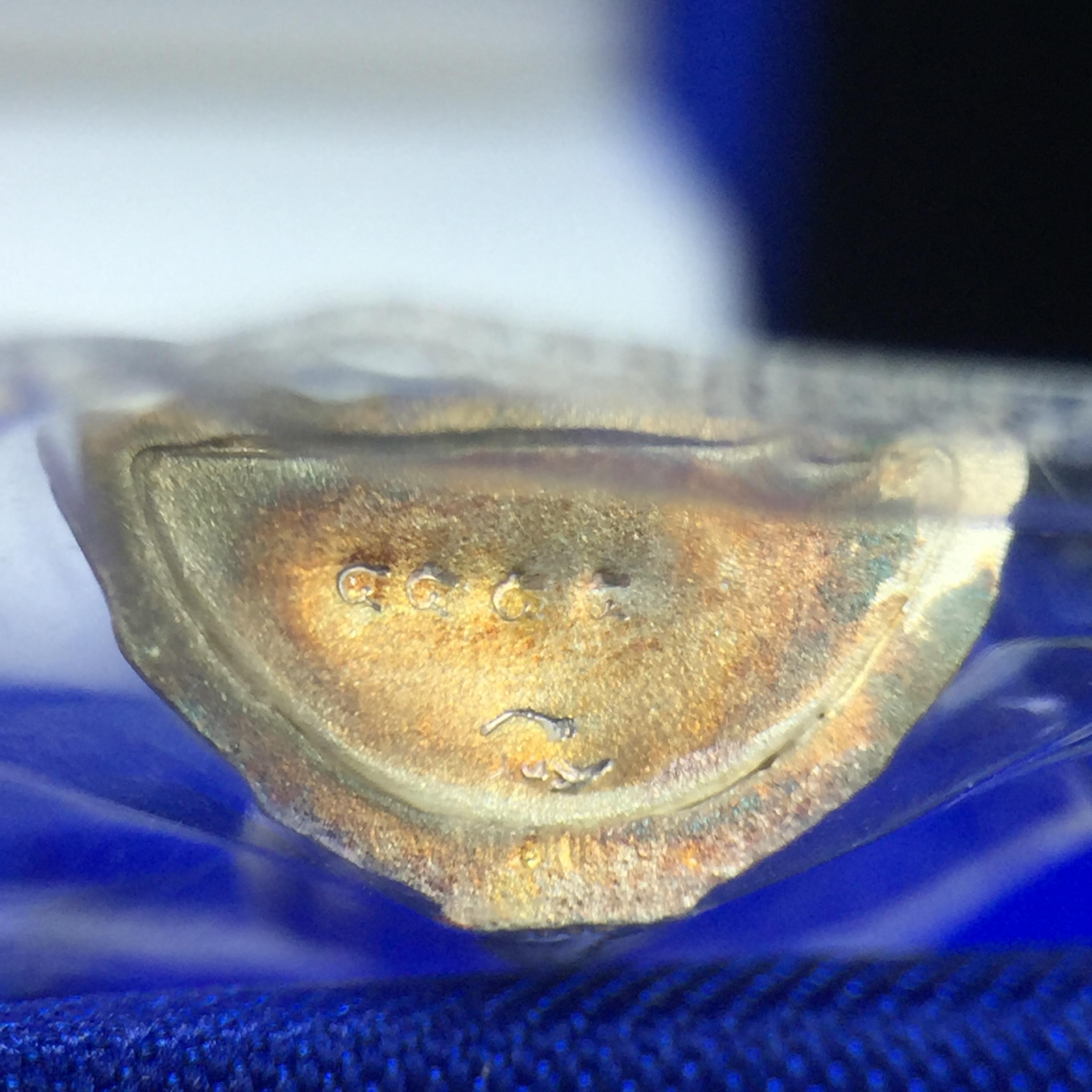 พระชัยวัฒน์พุทธสิหิงค์ ภปร. รุ่นสร้างหอพระธรรมศาสตร์ ปี2542 เนื้อเงิน(ผิวเดิม ซีนซองเดิม กล่องครบสวยสมบูรณ์) มหาพิธี 3วาระอันยิ่งใหญ่(ตอกโค๊ตและหมายเลข๔๕๕๕)(เลขสวย ท้ายเลขตอง)1ใน 10000 องค์