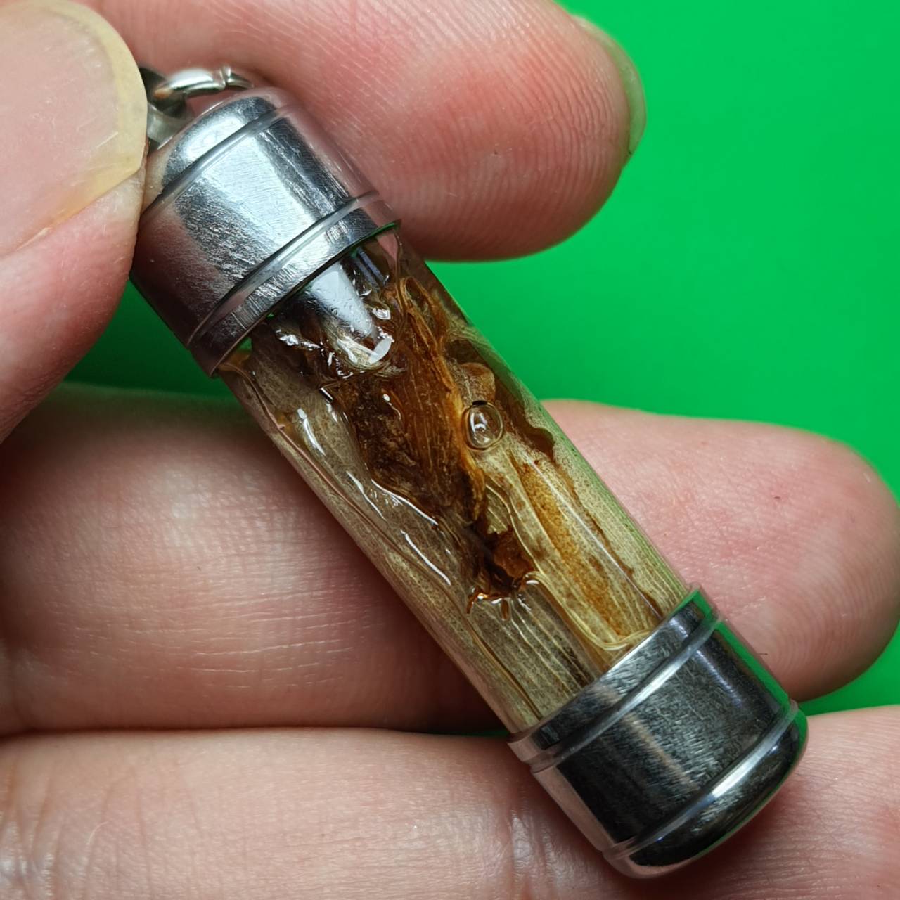 ของเสน่ห์ ว่านดอกทอง ตะกรุดดอกทองแห้งแช่น้ำมัน ดอกว่านดอกทอง ว่านดอกทองแท้ ว่านดอกทองเขมร ว่านดอกทอง