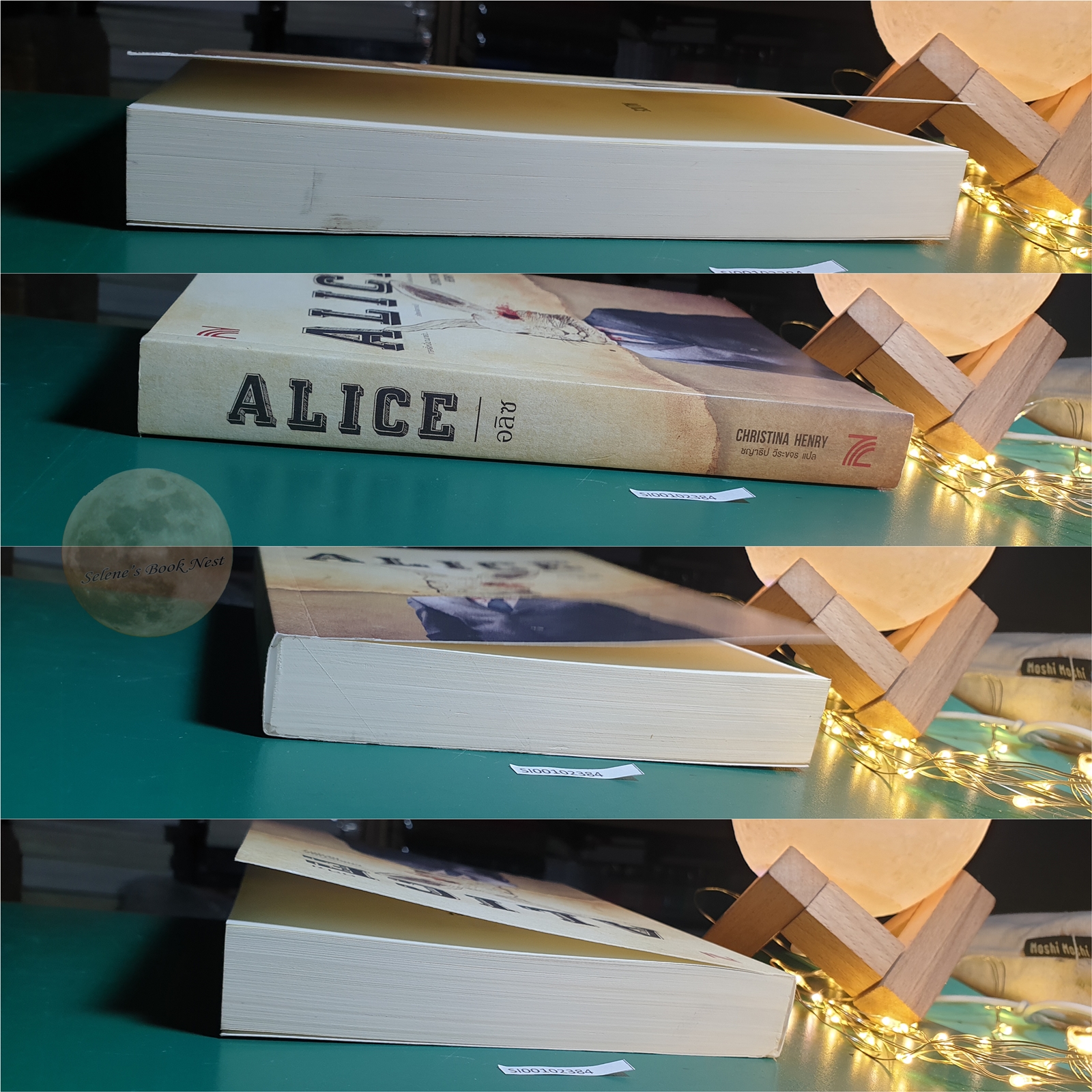 The Chronicles of Alice #1 ตอน อลิซ (Alice) / Christina Henry