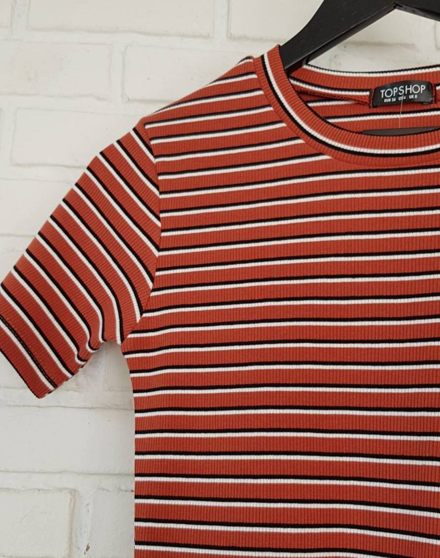 กลมริ้วเล็ก