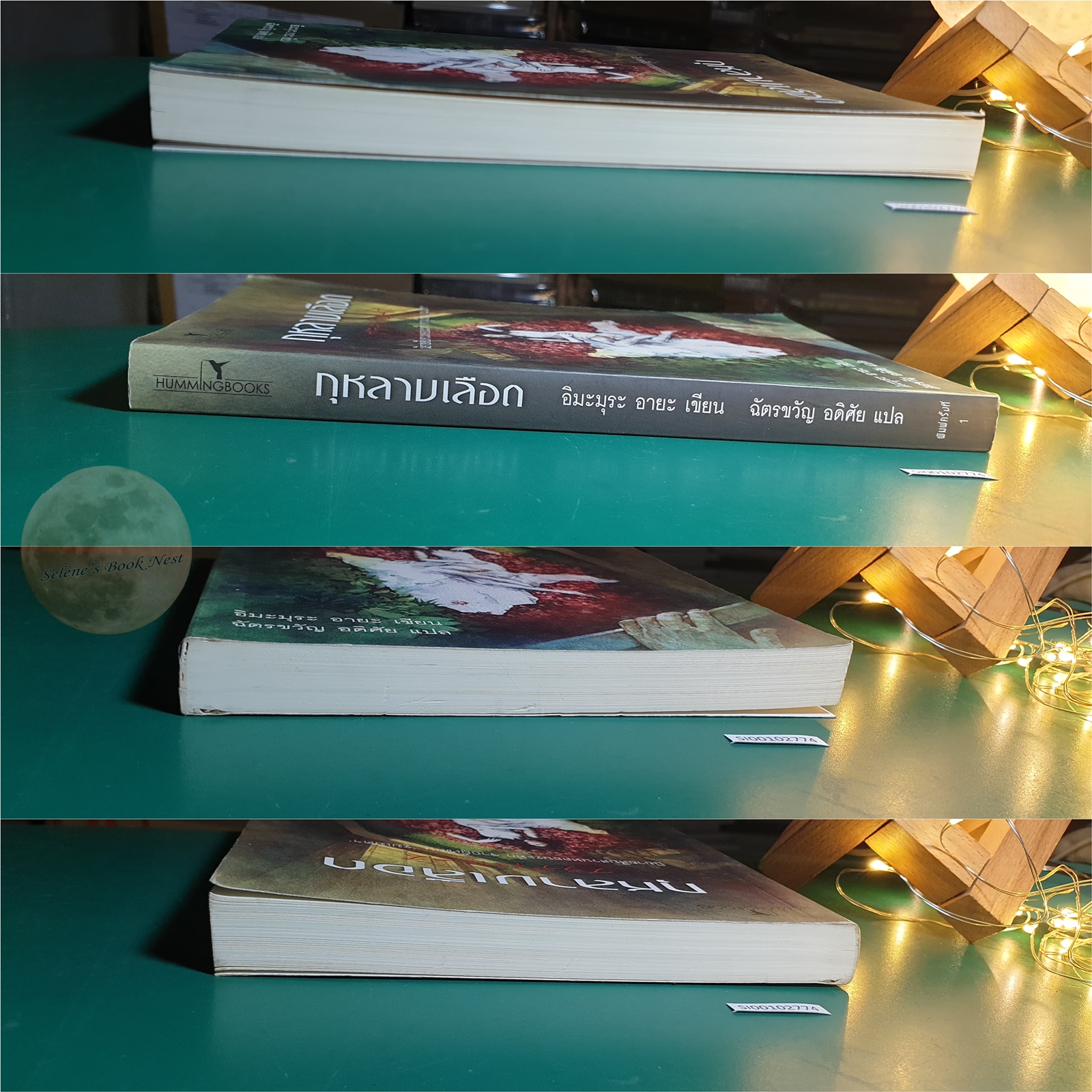 กุหลาบเลือด / Aya Imamura (อิมะมุระ อายะ)