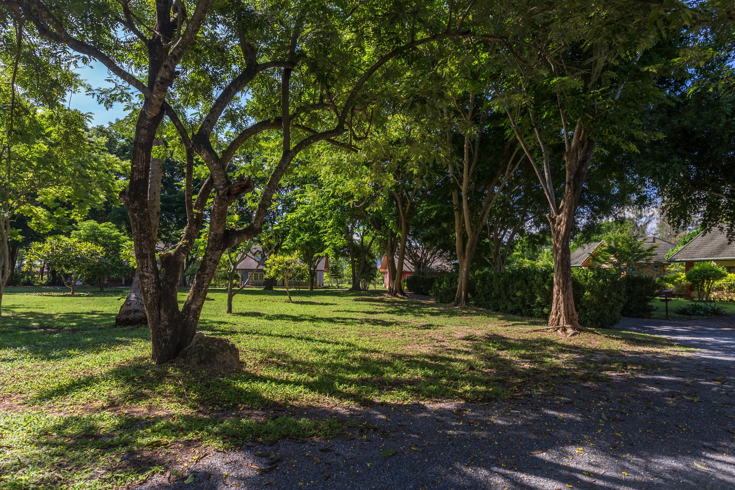 For Rent : Rawai, Seafront Pool Suite, 3 Bedroom 2.5 Bathroom