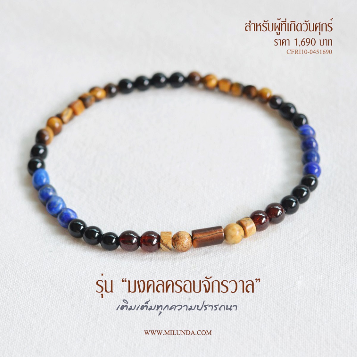 พลังปัญญาบารมี CFRI10-0451690