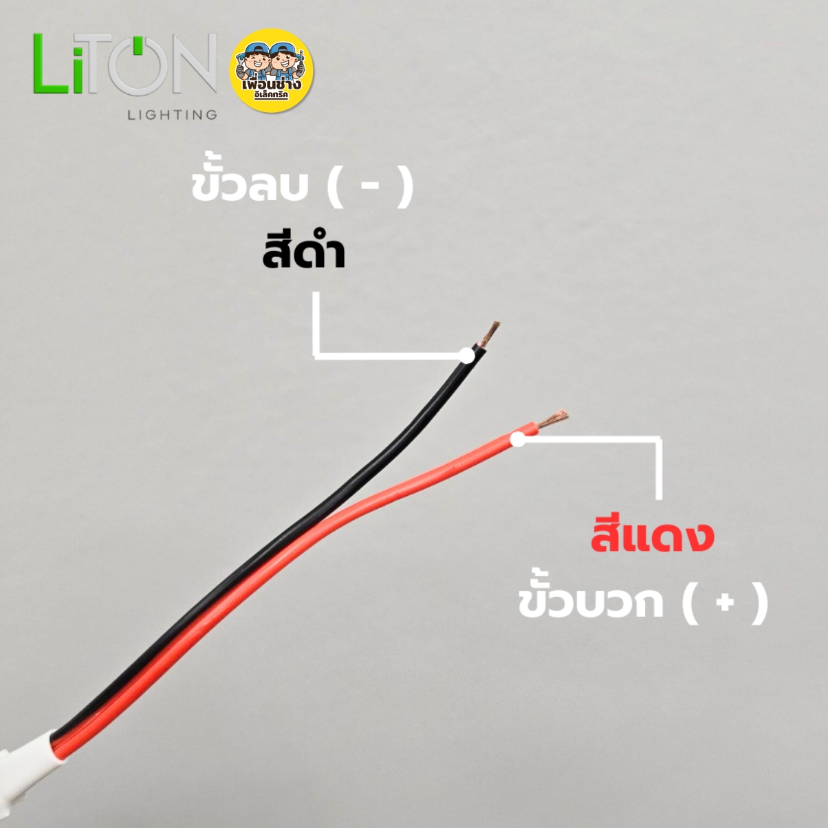 LiTON ไฟเส้น DC LED 12V SMD 2835 รุ่น Spectrum 10W สายยาว 5 เมตร IP20 สีเดียว มี3แสงให้เลือก แสงขาว แสงวอร์มไวท์ แสงคูลไวท์