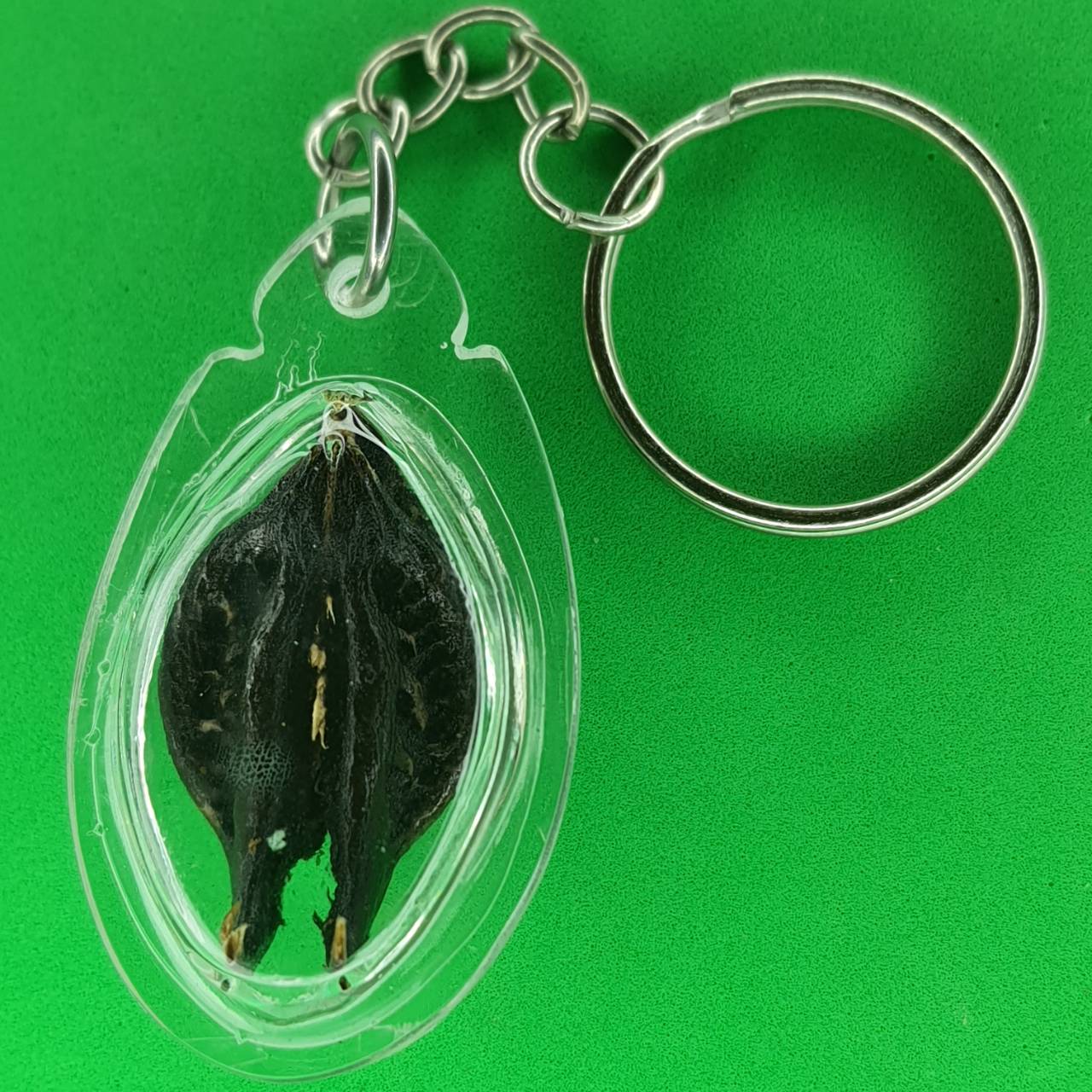 ของป้องกัน เล็บครุฑแบบพวงกุญแจ สีดำ เล็บครุฑ พญาเล็บครุฑ์ ของแท้ พญาเล็บครุฑ