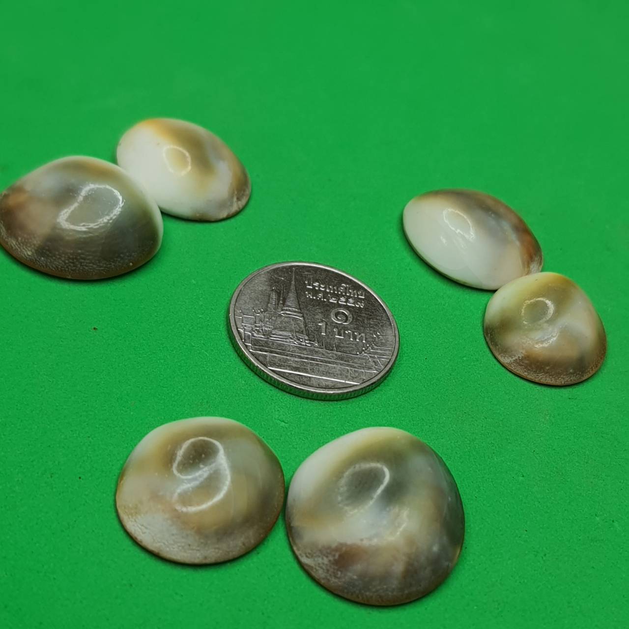 อิ่นอ้อยออยเงิน ให้โชคลาภ ค้าขายดี (ตัวเล็ก ขนาด 1.5-2 ซม. 1 คู่ แถม 1 คู่)