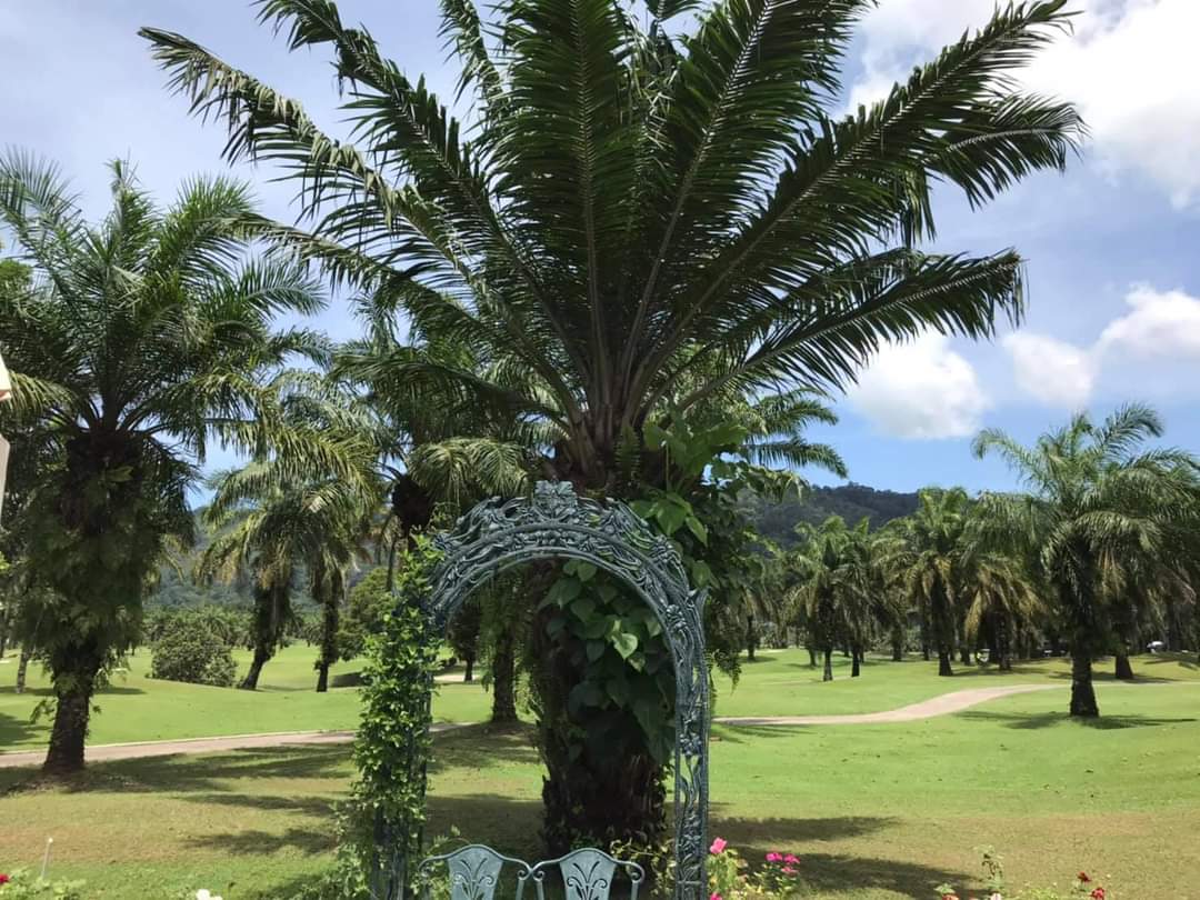 For Rent : Private Kathu House, Golf View 2 Bedrooms 2 Bathrooms