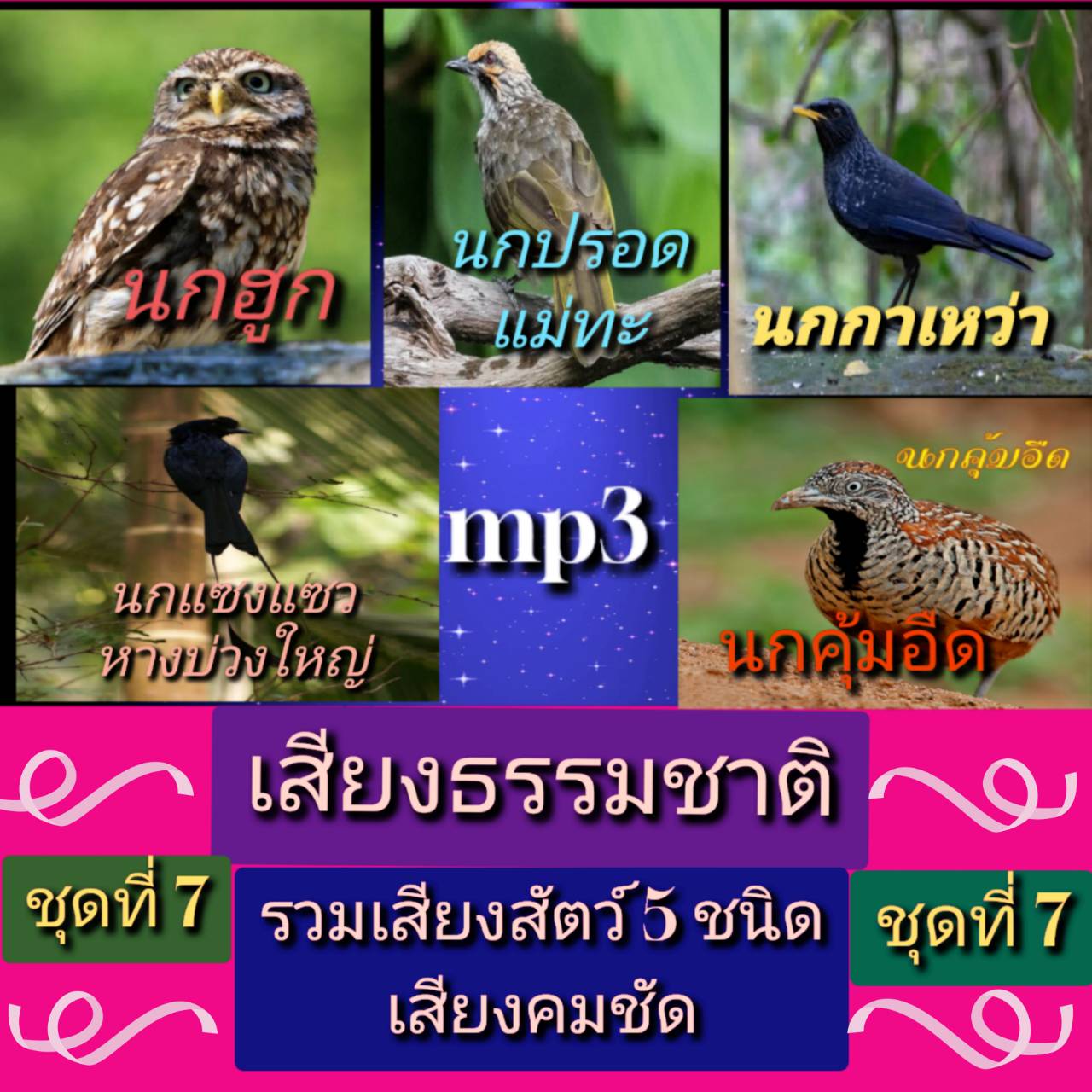 [พรเทวะ] แฟลชไดร์ฟ Mp3 เสียงธรรมชาติ รวมเสียงสัตว์ 5 ชนิด ชุดที่ 7 เสียงคมชัด ความยาวเสียงละ 1-2 ชั่วโมง 1. เสียงนกฮุก 2.เสียงนกปรอดแม่ทะ 3.เสียงนกกาเหว่า 4. เสียงนกแซงแซวห่างบ่วงใหญ่ 5.เสียงนกคุ้มอืด ใช้กับเครื่องเล่น USB/mp3 ทุกชนิดหรือเปิดฟังในรถยนต์เป