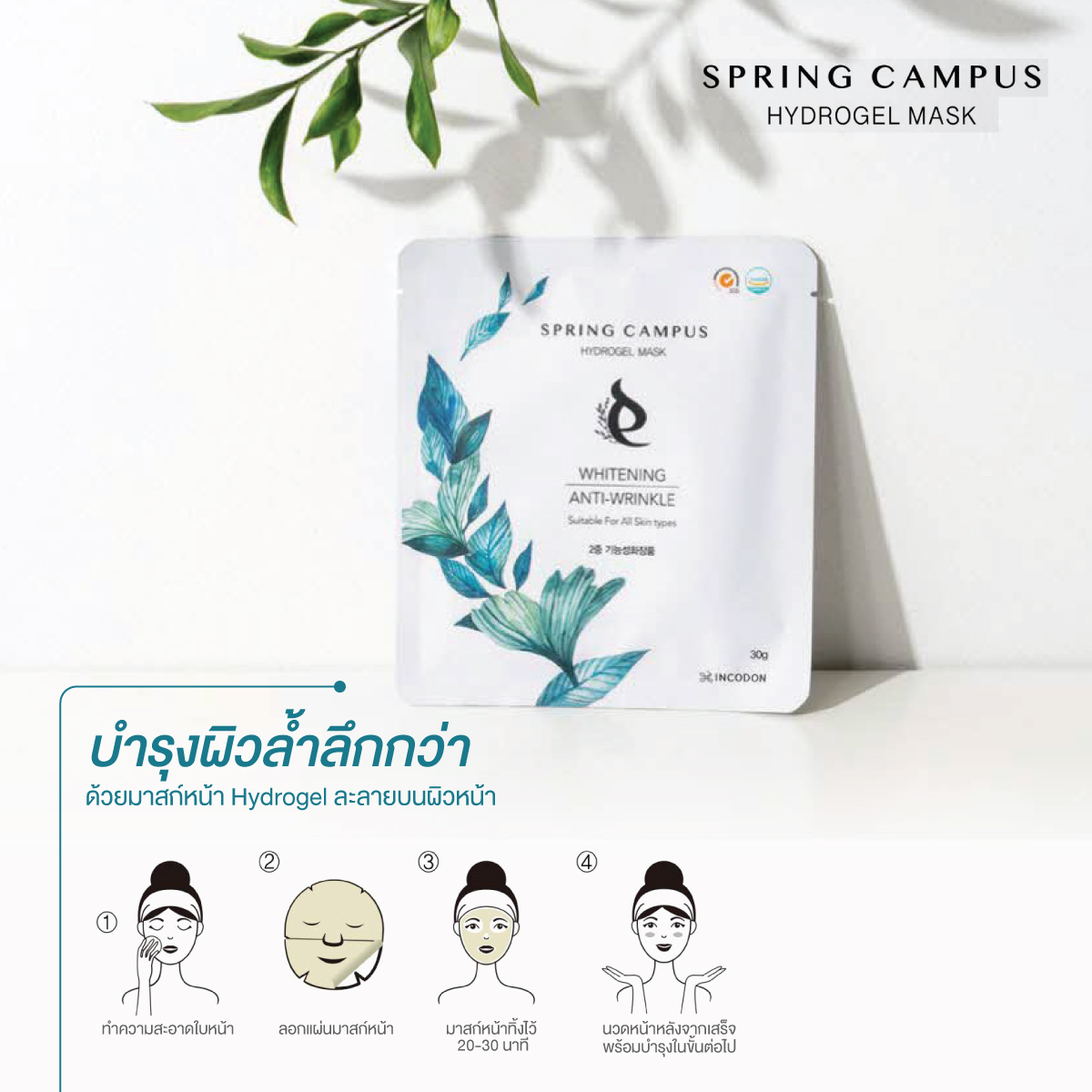 มาร์กหน้า SPRING CAMPUS HYDROGEL MASK นำเข้าจากเกาหลีใต้