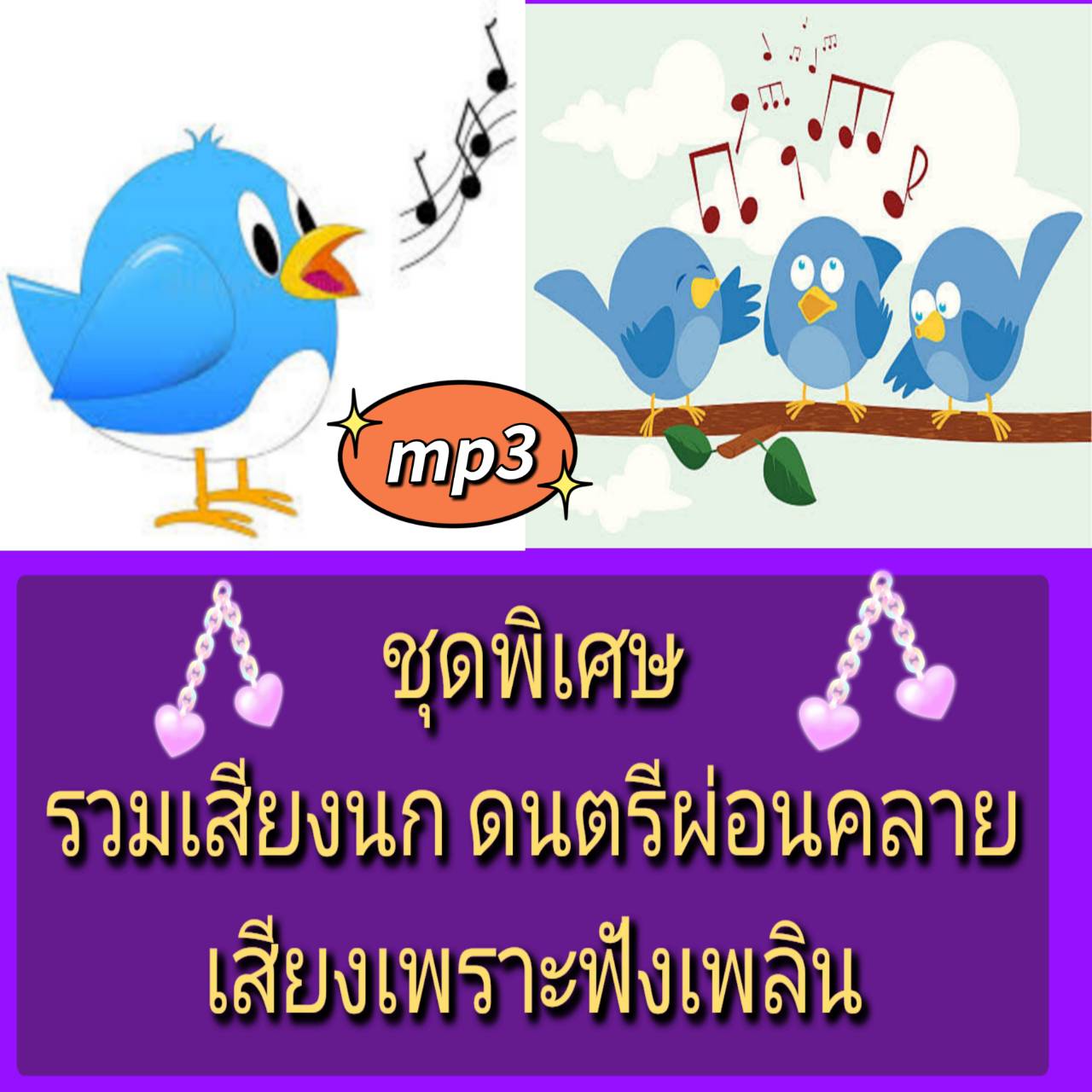 [พรเทวะ] แฟลชไดร์ฟ USB Mp3 ชุดพิเศษ รวมเสียงนก ดนตรีผ่อนคลาย เสียงเพราะฟังเพลิน เสียงนกร้อง บรรเลงดนตรีผ่อนคลาย (1.40 นาที) เสียงนกร้องในป่าใหญ่ #เสียงนกร้อง #relaxingmusic #เพลงบรรเลงธรรมชาติ (1 ชม.) เสียงนกร้องยามเช้า.เสียงเพราะฟังเพลินสดชื่นๆ. The soun