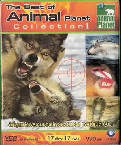 สารคดีสัตว์โลก ชุดดีที่สุดแห่งผลงานของช่อง Animal Planet ชุด 1