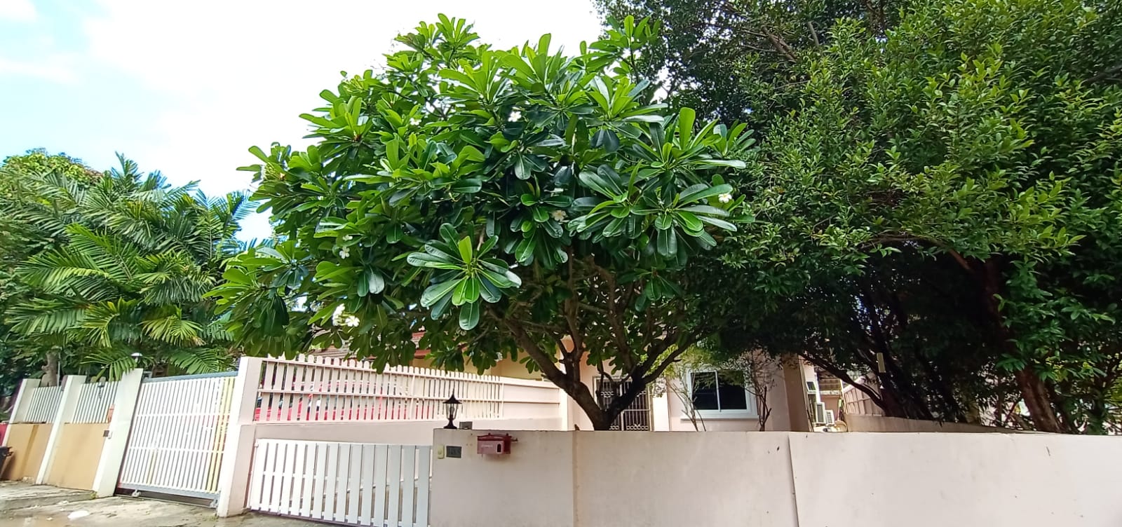 For Rent : House available for rent At Rawai Phuket 2 Bedrooms 2 Bathrooms