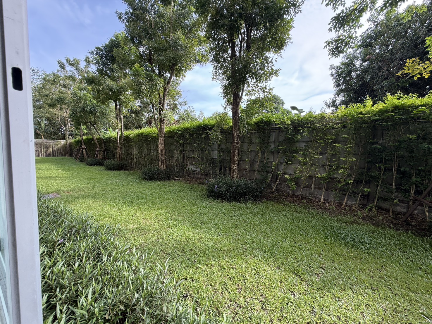 For Sales : Kathu, Dcondo Kathu-Patong, 1 Bedroom, 1st flr., Garden View