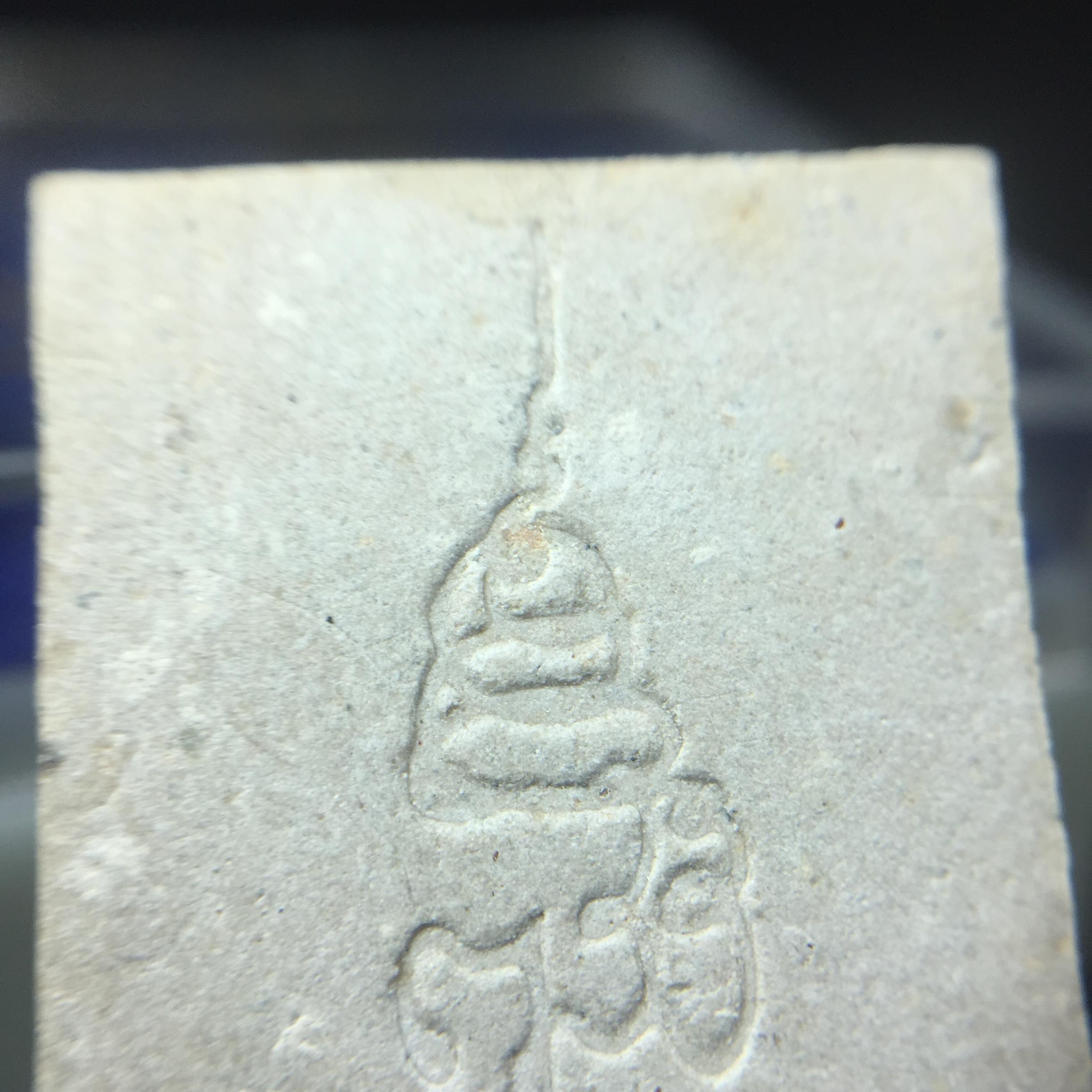 พระพุทธชินสีห์ ภปร. ทันโต เสฏโฐ ปี2533 พิมพ์เล็ก(หายาก) บรรจุพระทนต์ในหลวง รุ่นเดียวในประวัติศาสตร์ ****รุ่นนี้ขอแนะนำ****