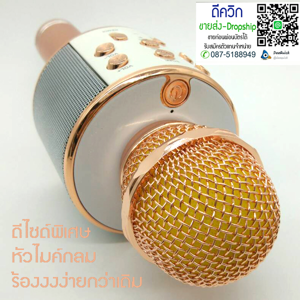WS-858 Wireless Bluetooth HIFI Karaoke Microphone MIC – ROSE GOLD