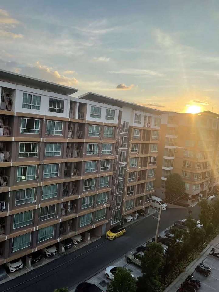 For Rent : Kathu, Dcondo Reef, 1 Bedroom 1 Bathroom, 7th flr.