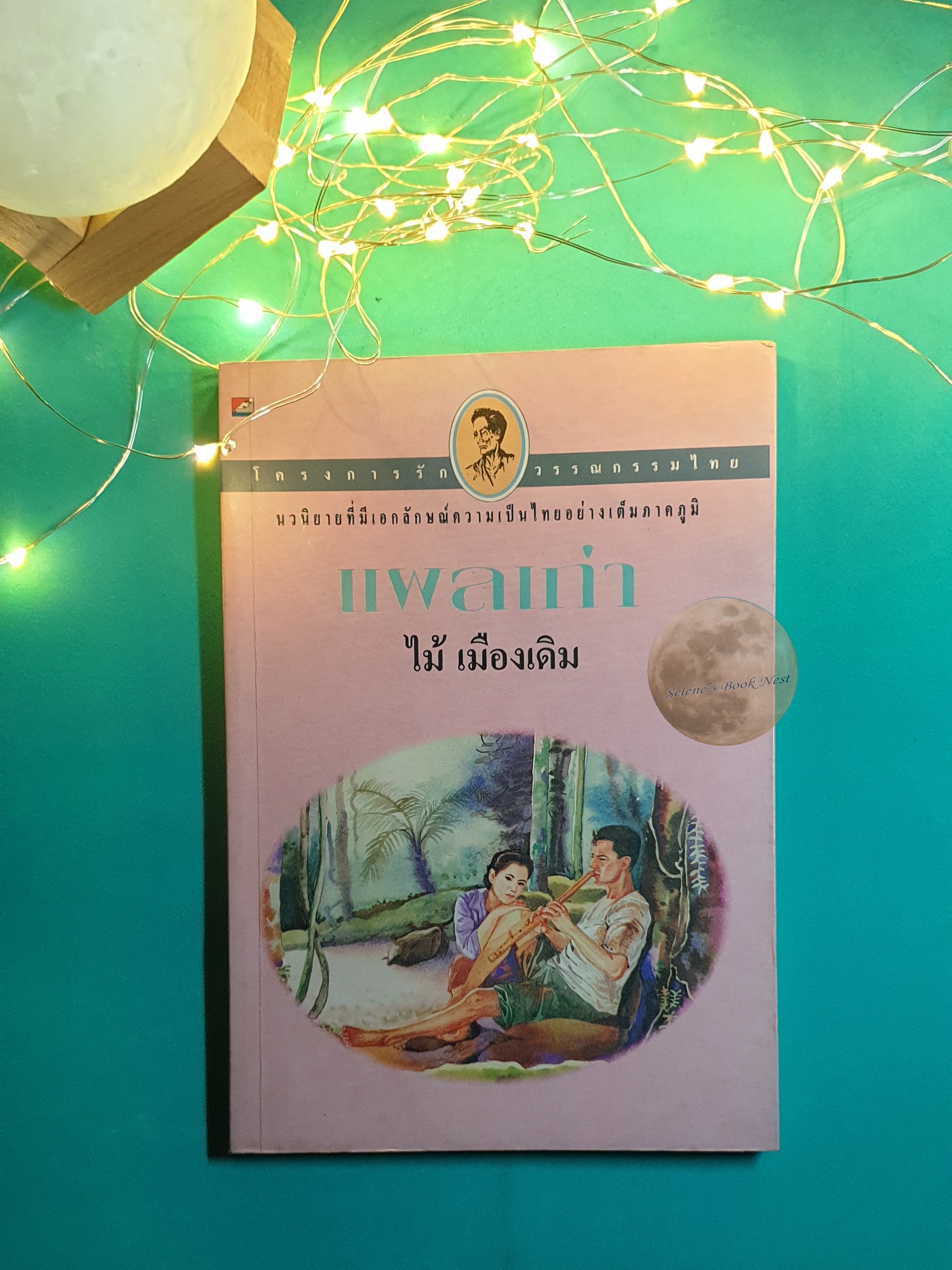 แผลเก่า / ไม้ เมืองเดิม
