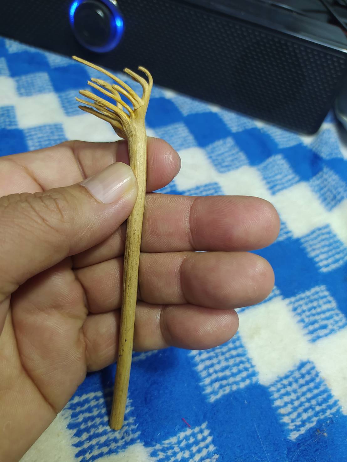 มือผีกองกอยหรือพญามือเหล็ก