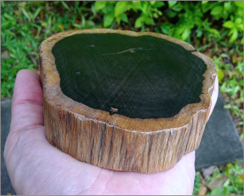 ฐานไม้มะเกลือ(African Ebony) หนา3cm แบบที่2(ตัวอย่าง)