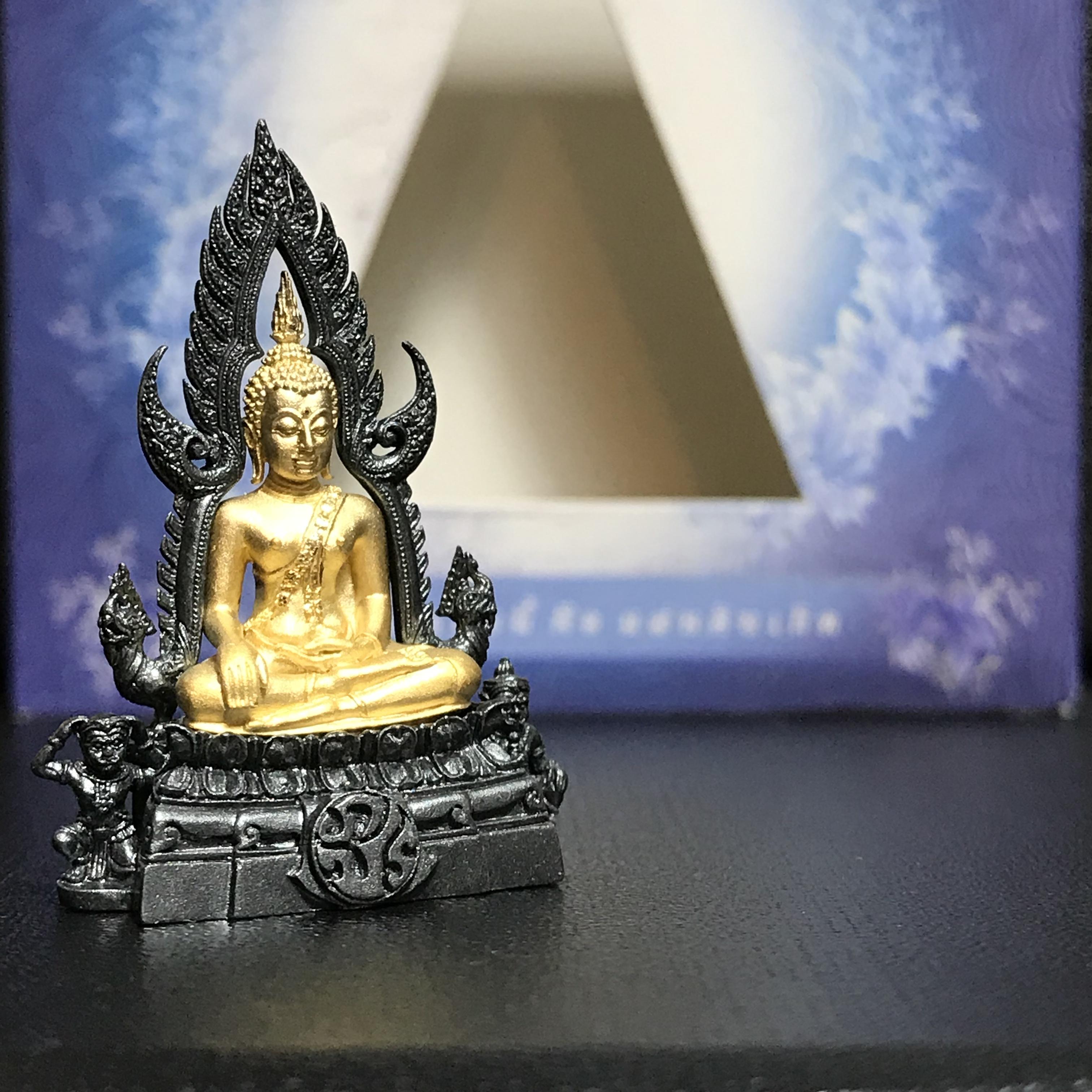 พระพุทธชินราช ภปร. โครงการ เพราะแผ่นดินนี้คือแผ่นดินเกิด เนื้อเงินชุบทองคำซุ้มรมดำ ปี2551 ขนาดหน้าตัก1/2นิ้ว (สวยงามหายาก)1ใน5000องค์