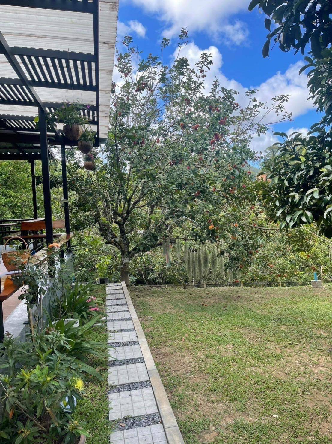 For Rent : Thalang, Single-storey detached house, 2 bedrooms 2 bathrooms