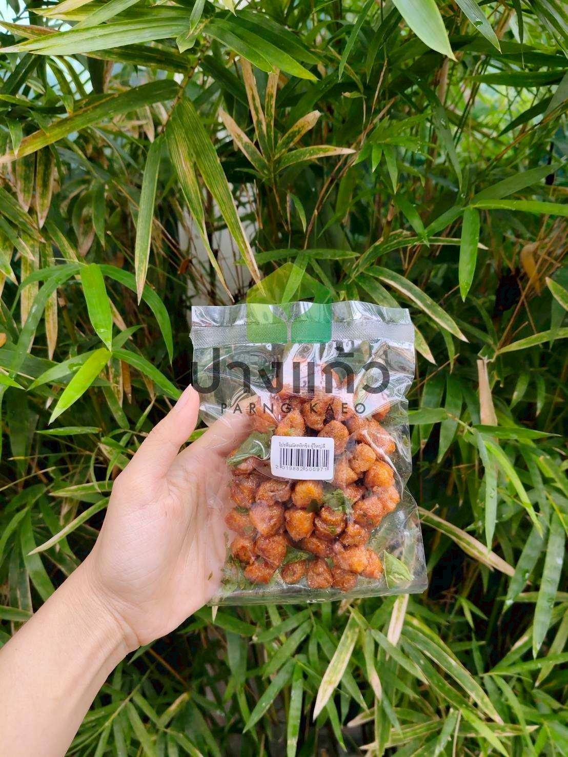 โปรตีนผัดพริกขิง ( ผู้ใหญ่ลี ) อาหารเจ