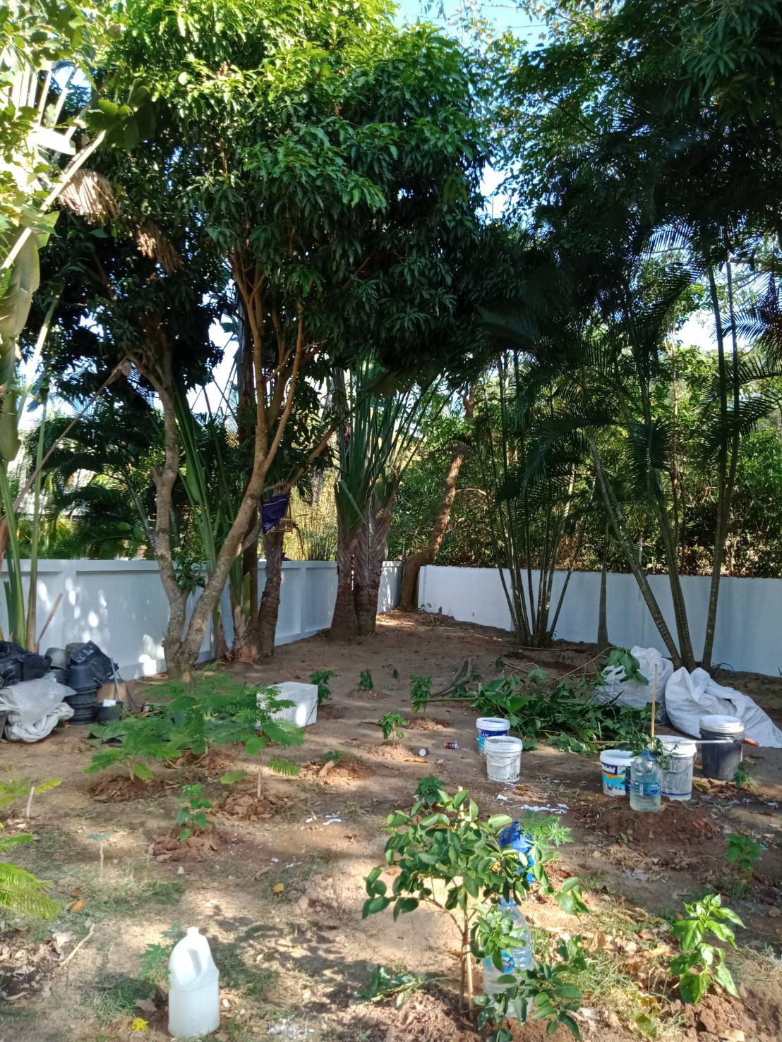 For Sales : Land Rawai, Soi Namjai , 64 SQ.W. , Garden View.
