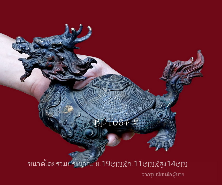 เต่ามังกร หลังหยินหยางยันต์แปดทิศ