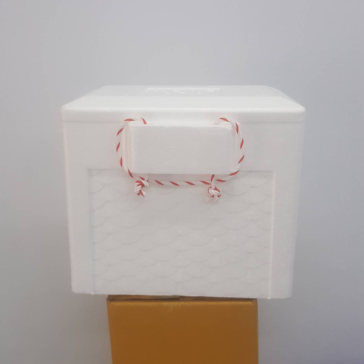 กล่องโฟมปิคนิค#445