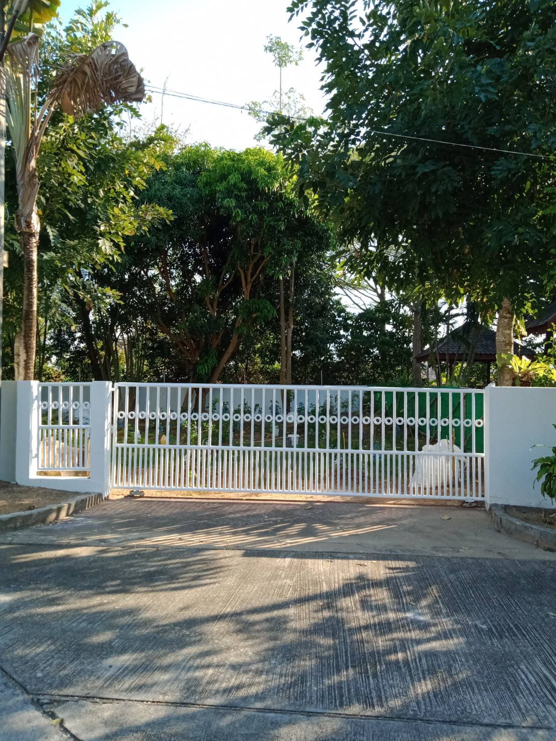 For Sales : Land Rawai, Soi Namjai , 64 SQ.W. , Garden View.