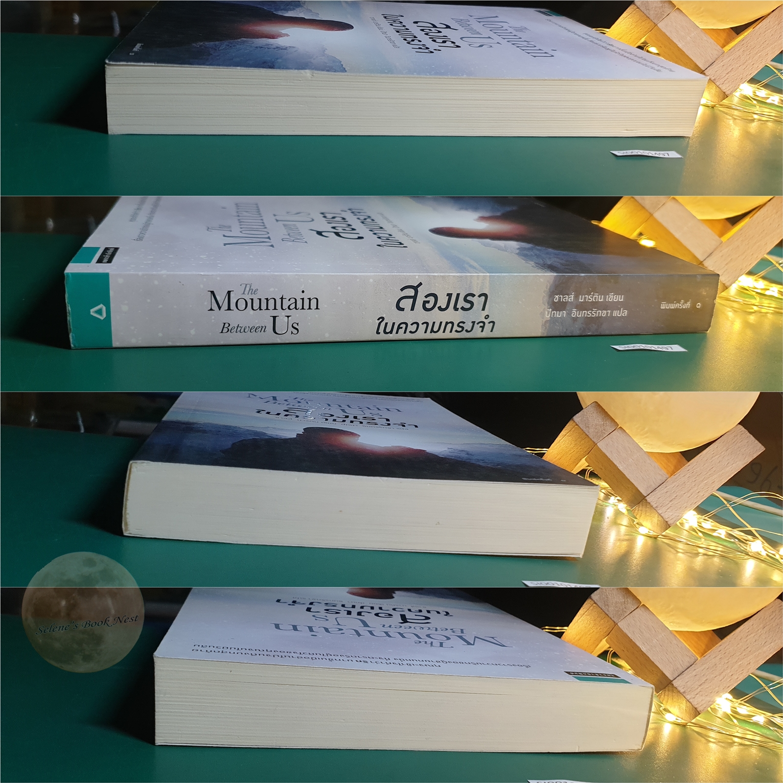 สองเราในความทรงจำ (The Mountain Between Us) / Charles Martin (ชาลส์ มาร์ติน)